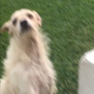 Meet your Posher, Tania